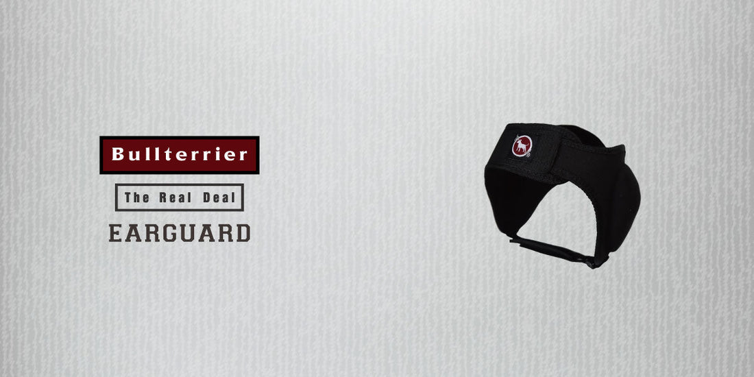 BULL TERRIER New EAR GUARD Available