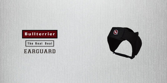 BULL TERRIER New EAR GUARD Available