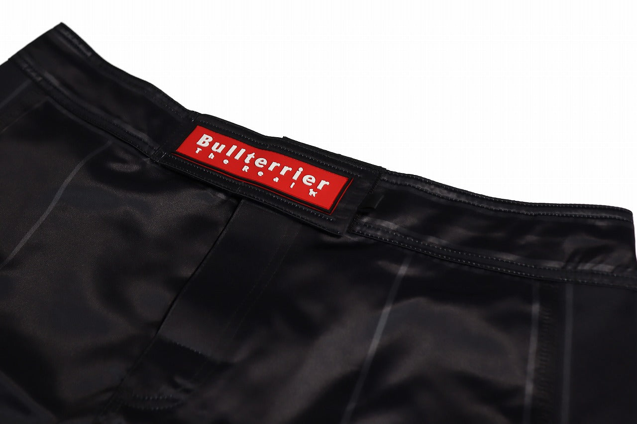 BULL TERRIER Fight Shorts Short Fit Traditional 3.0