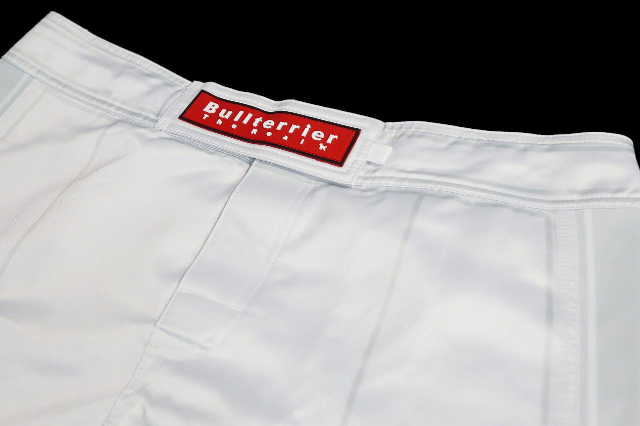 BULL TERRIER Fight Shorts Short Fit Traditional 3.0