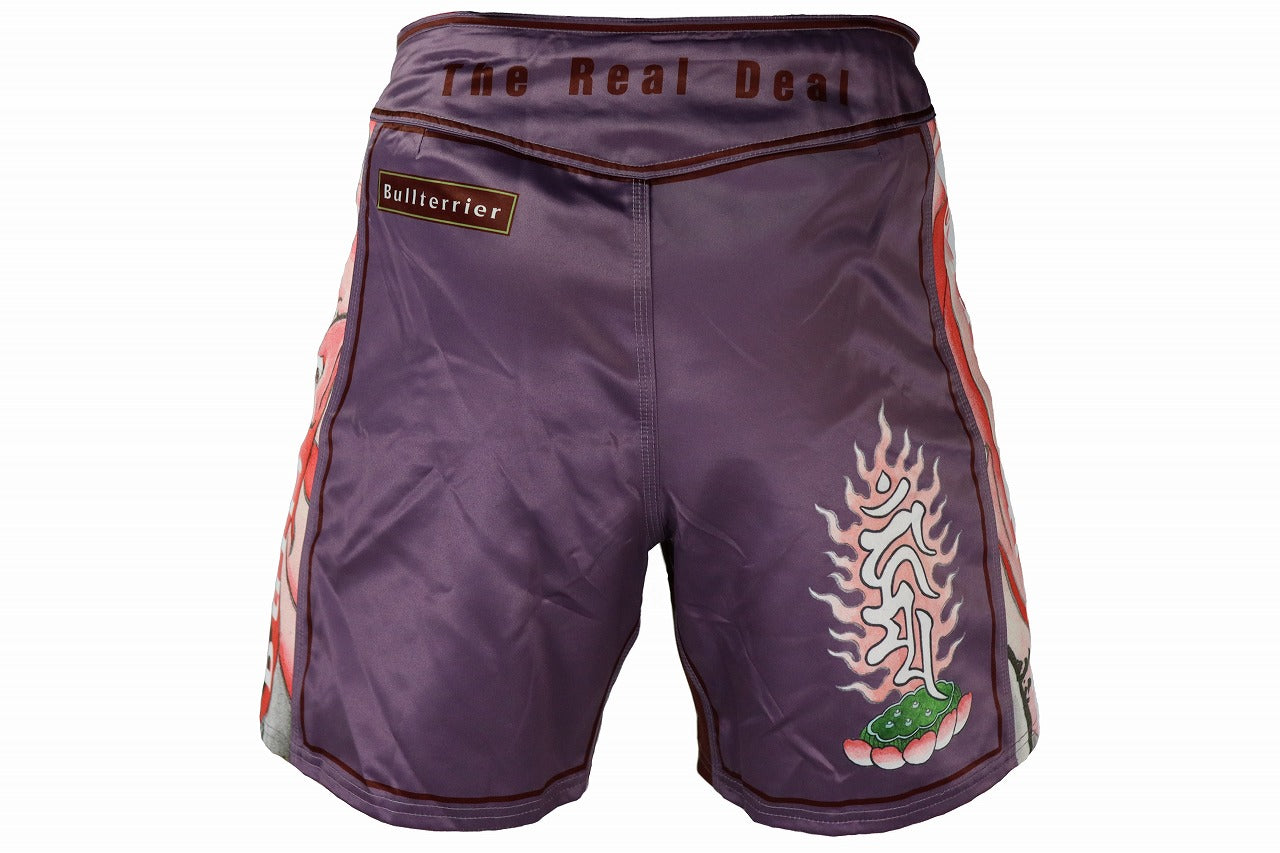BULL TERRIER Fight Shorts ACALA 2.0