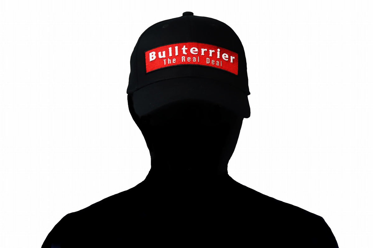 BULL TERRIER Cap BOX LOGO