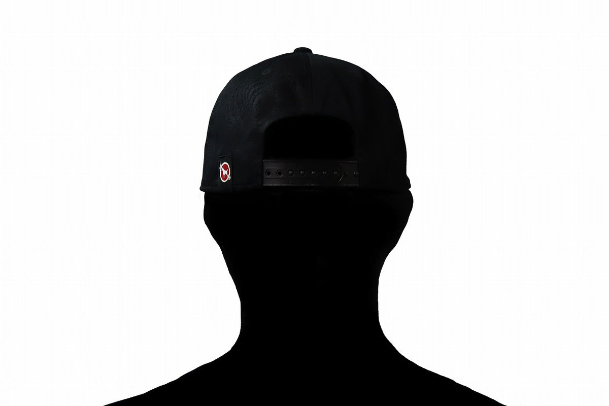 BULL TERRIER Cap BOX LOGO