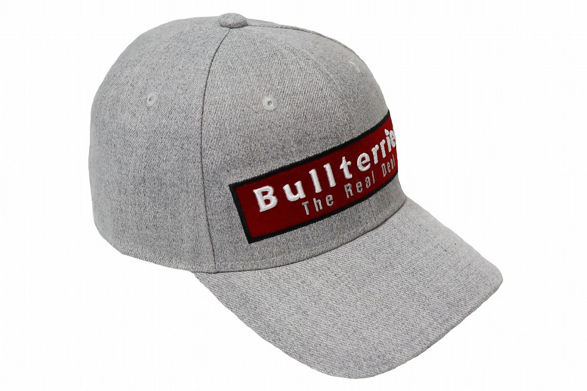 BULL TERRIER Cap BOX LOGO