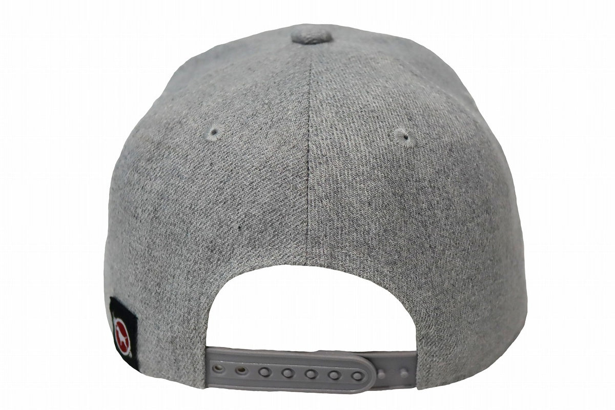 BULL TERRIER Cap BOX LOGO