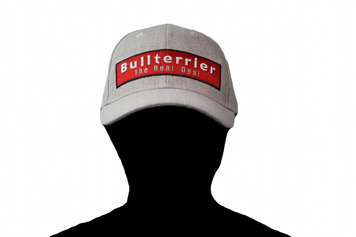 BULL TERRIER Cap BOX LOGO