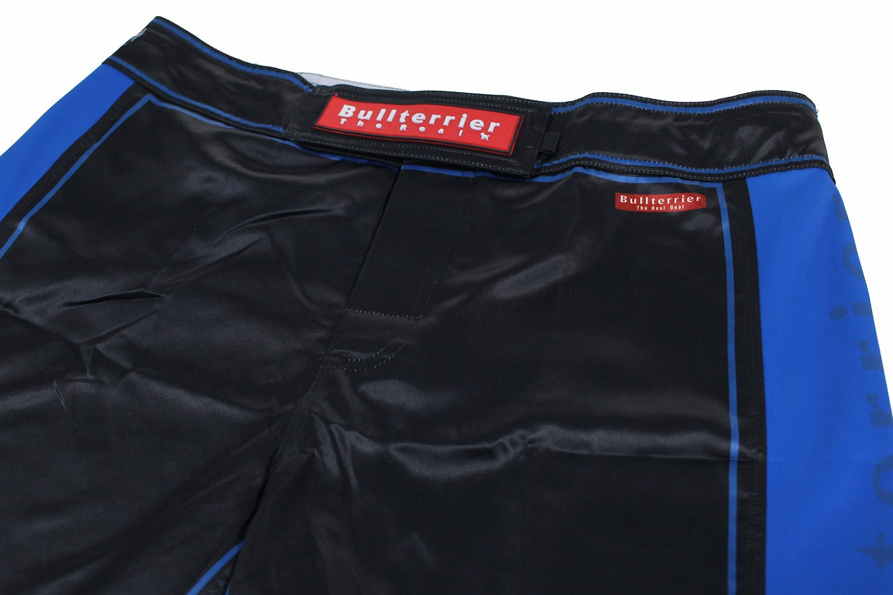 BULL TERRIER Fight Shorts RANK 4.0