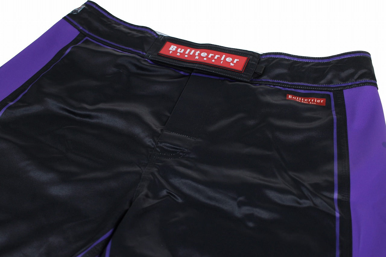 BULL TERRIER Fight Shorts RANK 4.0