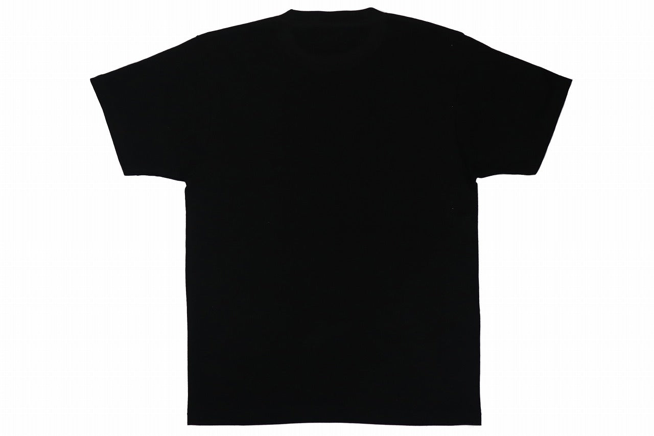 BULL TERRIER T-Shirt 4BOX