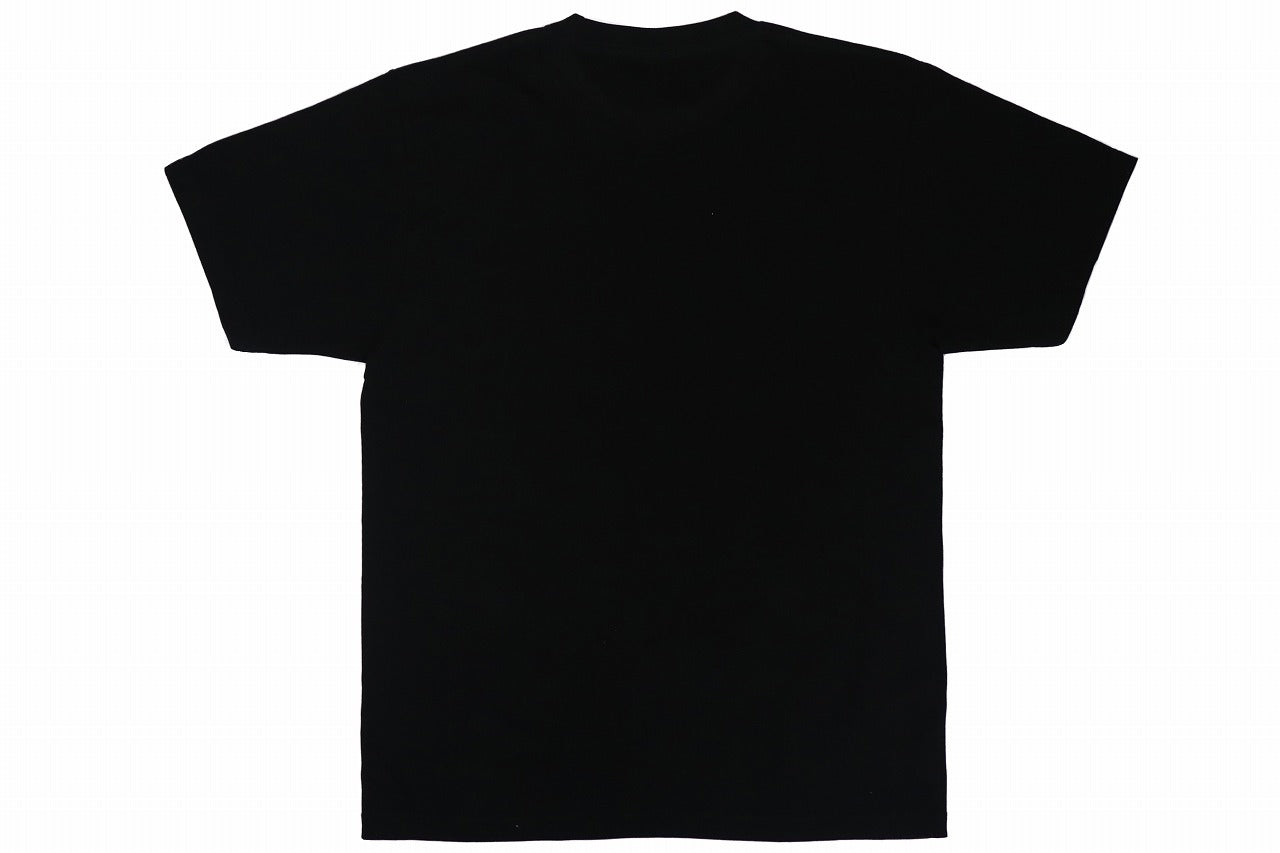 BULL TERRIER T-Shirt 4BOX